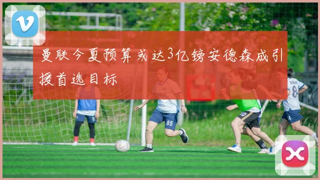 曼联今夏预算或达3亿镑安德森成引援首选目标