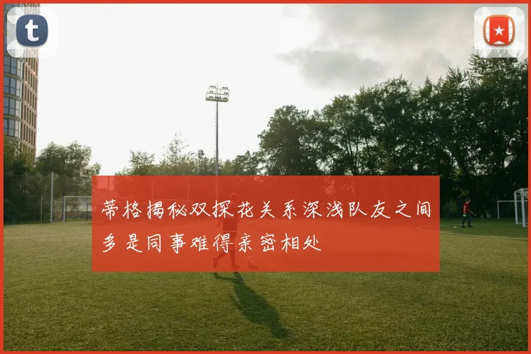 蒂格揭秘双探花关系深浅队友之间多是同事难得亲密相处