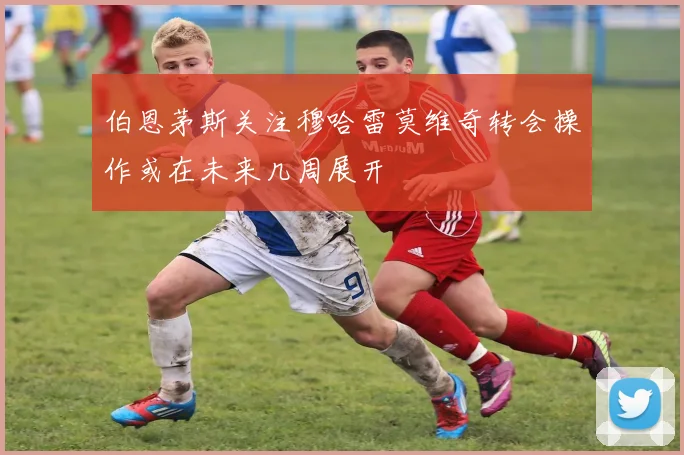 伯恩茅斯关注穆哈雷莫维奇转会操作或在未来几周展开